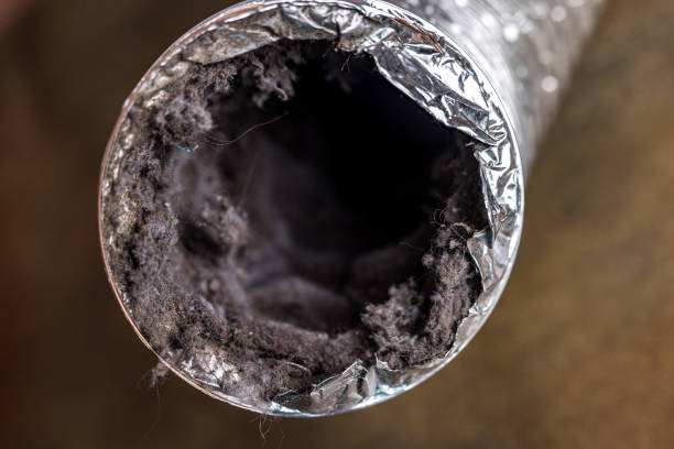 Best Air Duct Cleaning Near Me  in Arnaudville, LA