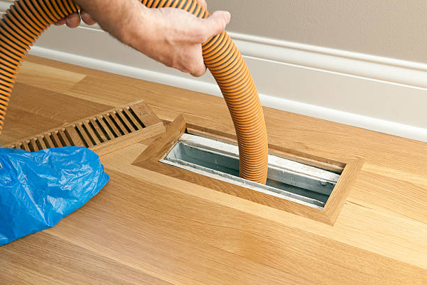 Best Air Duct Mold Removal  in Arnaudville, LA
